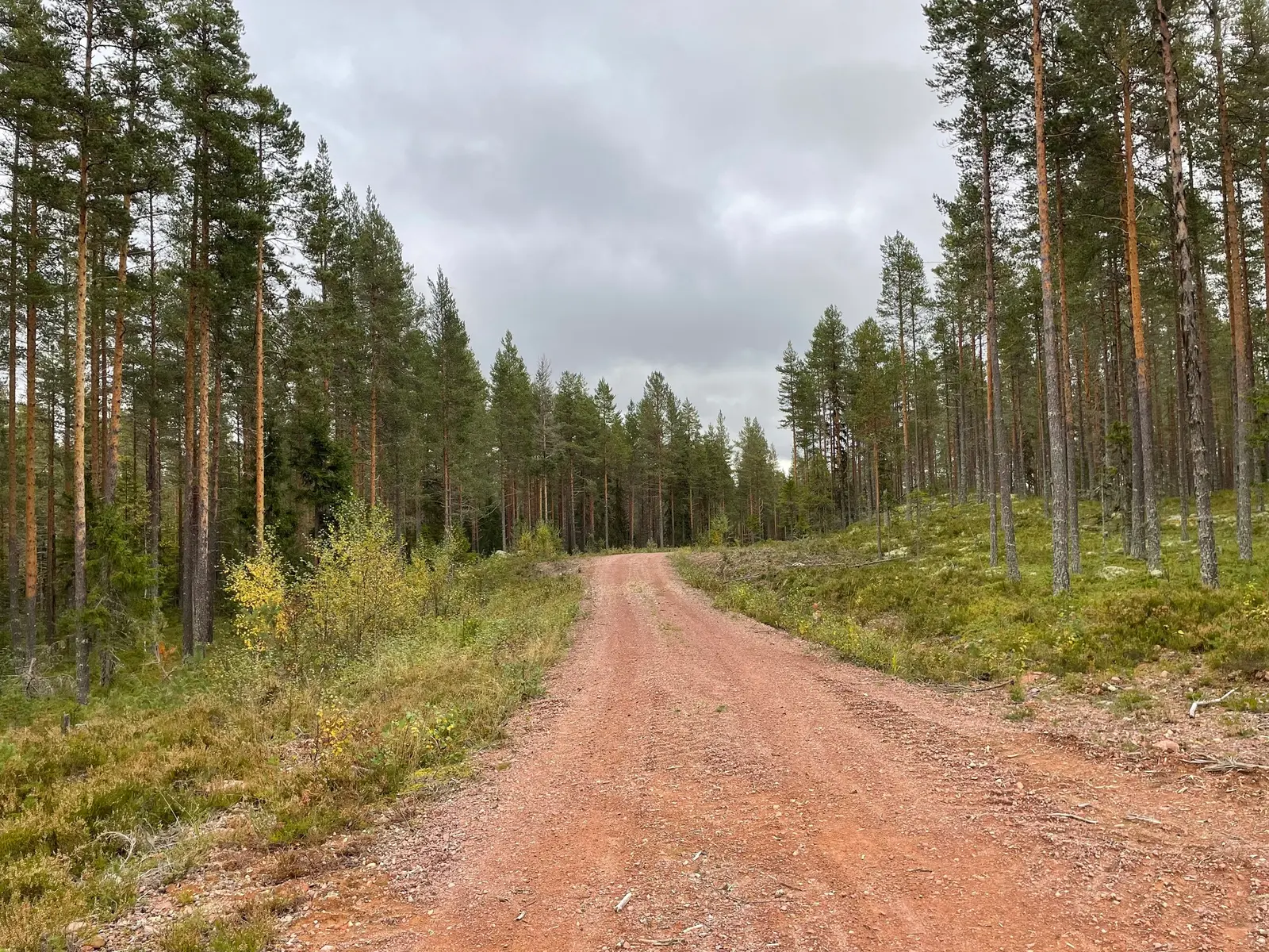 Gård, ÄLVDALEN ÅSEN 73:9, Älvdalen. Bild 1 av 15