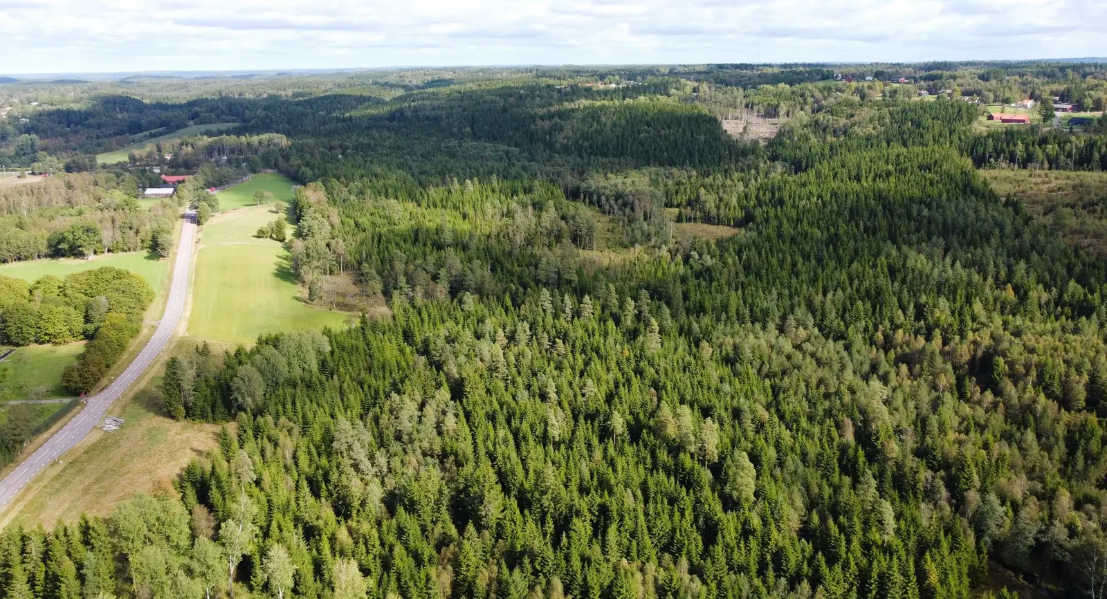 Gård, Skogsfastighet som kan förvärvas av juridisk person. Bild 1 av 19