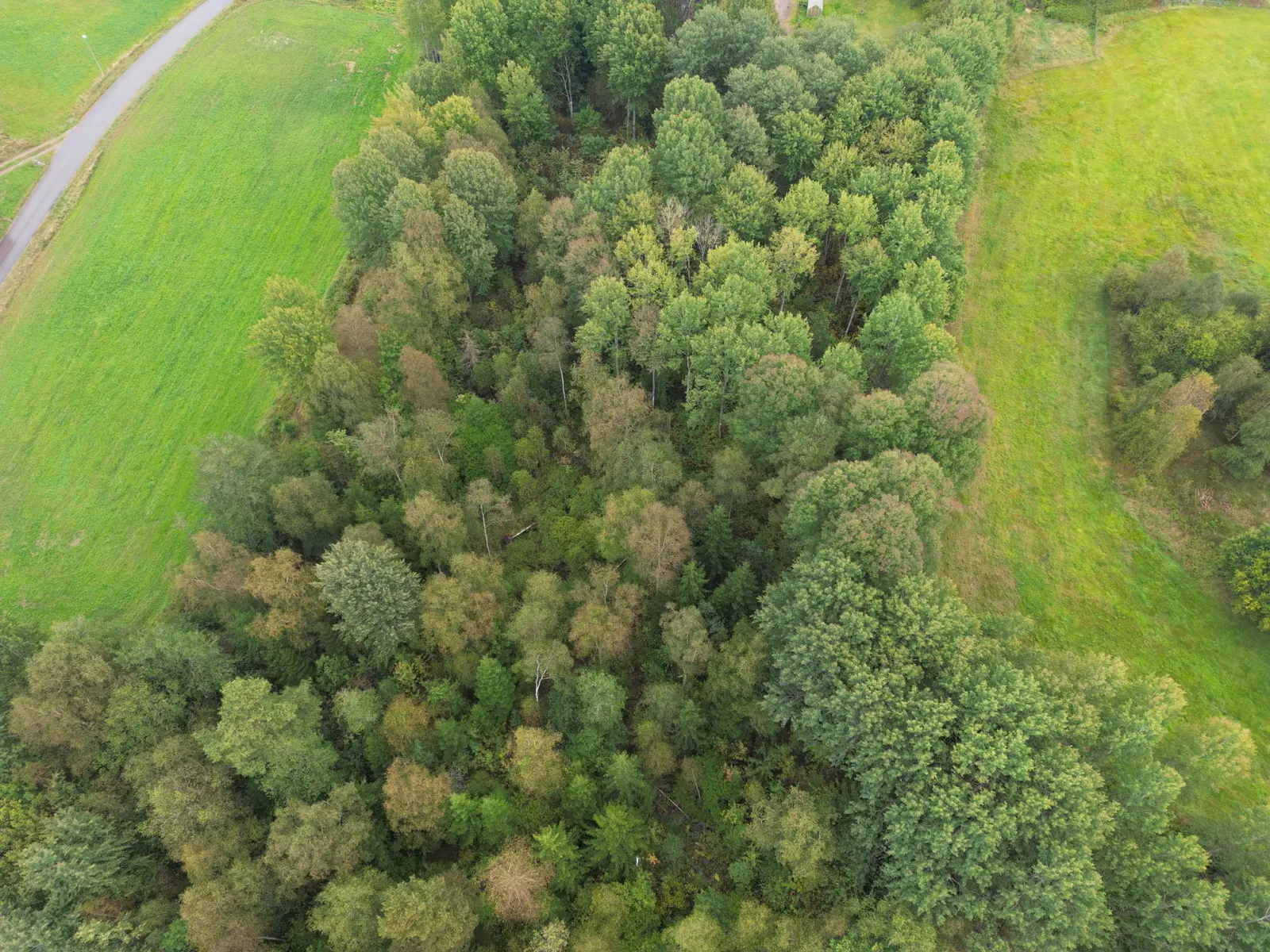 Land / plot, Del av HYLTE UNNARYD 1:153 (skifte 2 och 4). Photo 1 of 4
