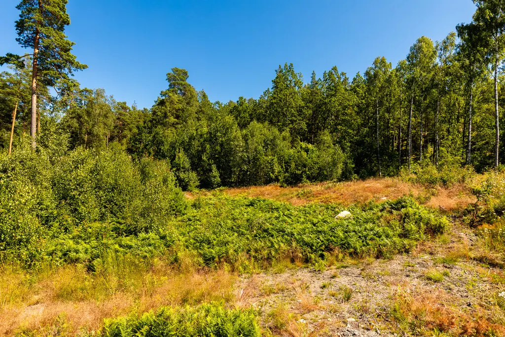 Image 1 of 40 of Konvaljevägen 12