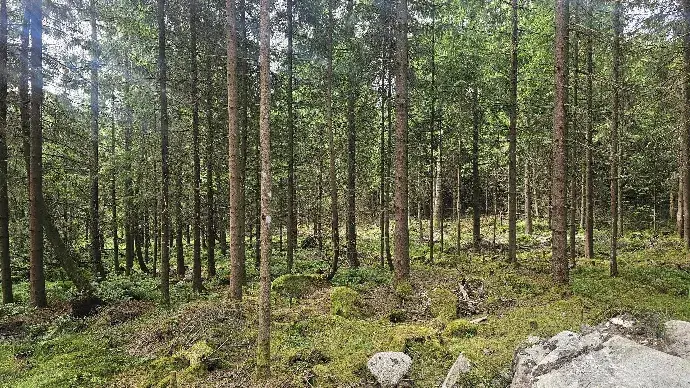 Tomt / mark, Österdalsvägen XX, Alingsås. Bild 1 av 5