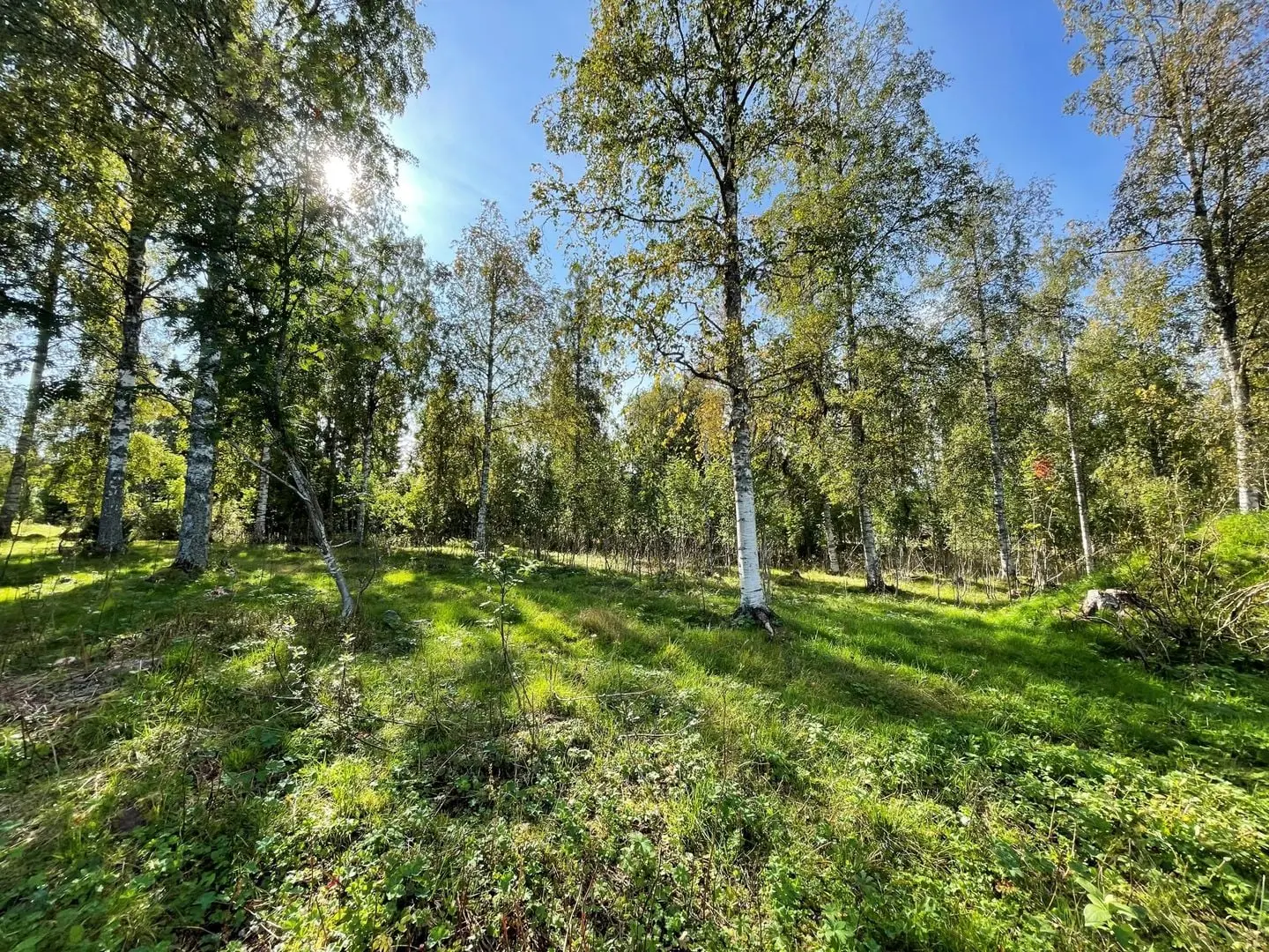 Tomt / mark, Gundbyvägen, Älvdalen. Bild 1 av 6