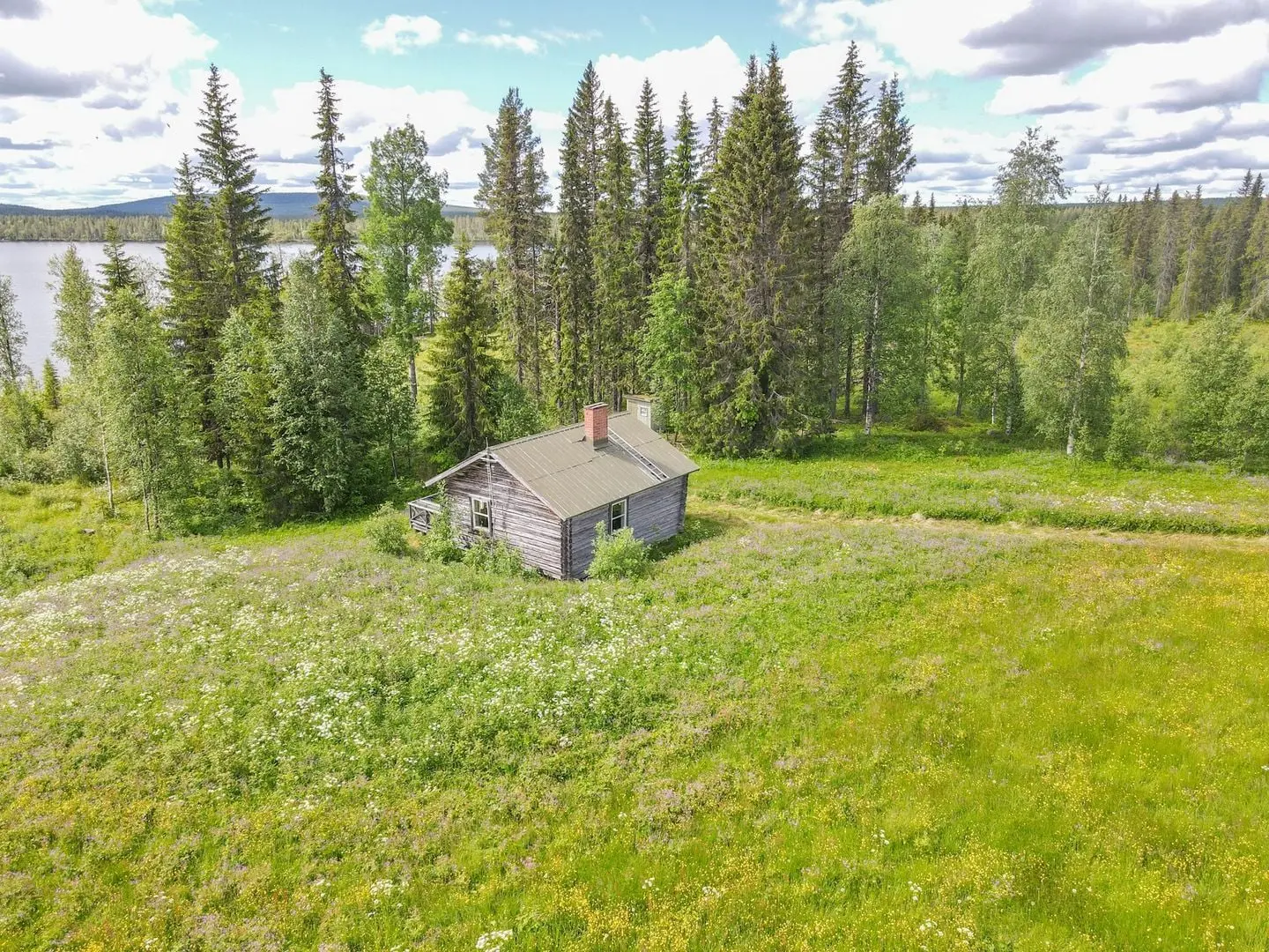 Image 1 of 30 of Asplund