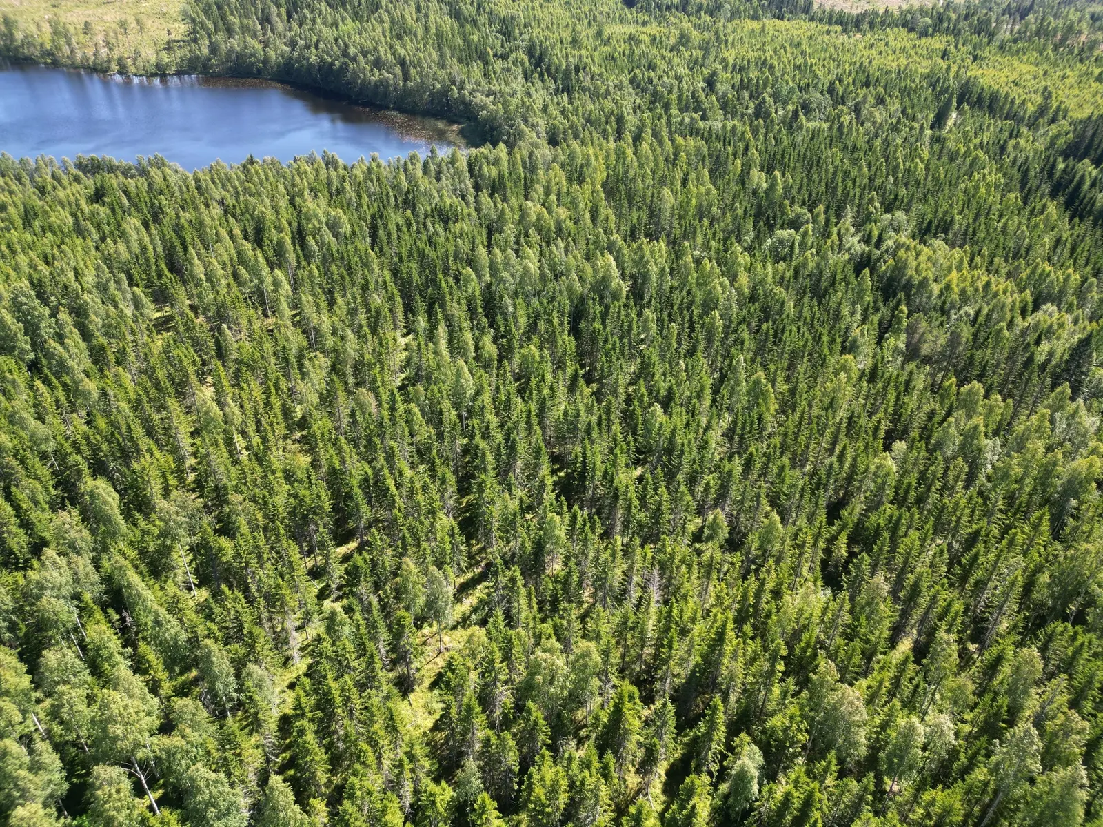 Gård, NORDANSTIG VÄSTERGRÄNGSJÖ 30:1, 7:2 och 5:10, Nordanstig. Bild 1 av 11