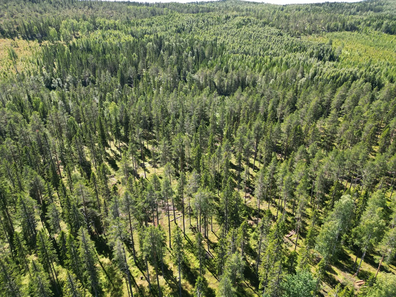 Farm, NORDANSTIG VÄSTERGRÄNGSJÖ 24:1 och VÄSTERGRÄNGSJÖ3:6, Nordanstig. Photo 1 of 20