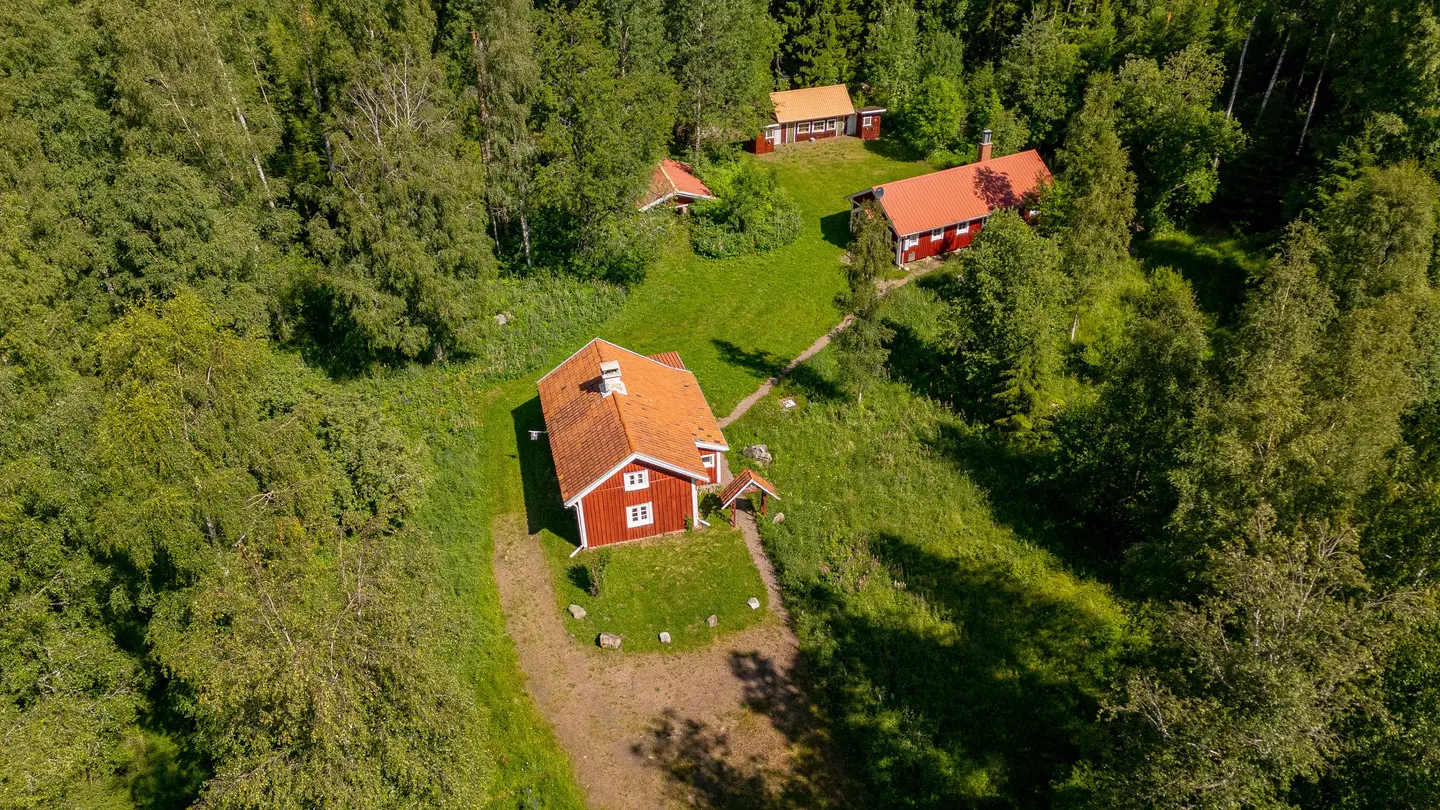 Bild 1 av 40 på Pjungserud Fågelmossen 19