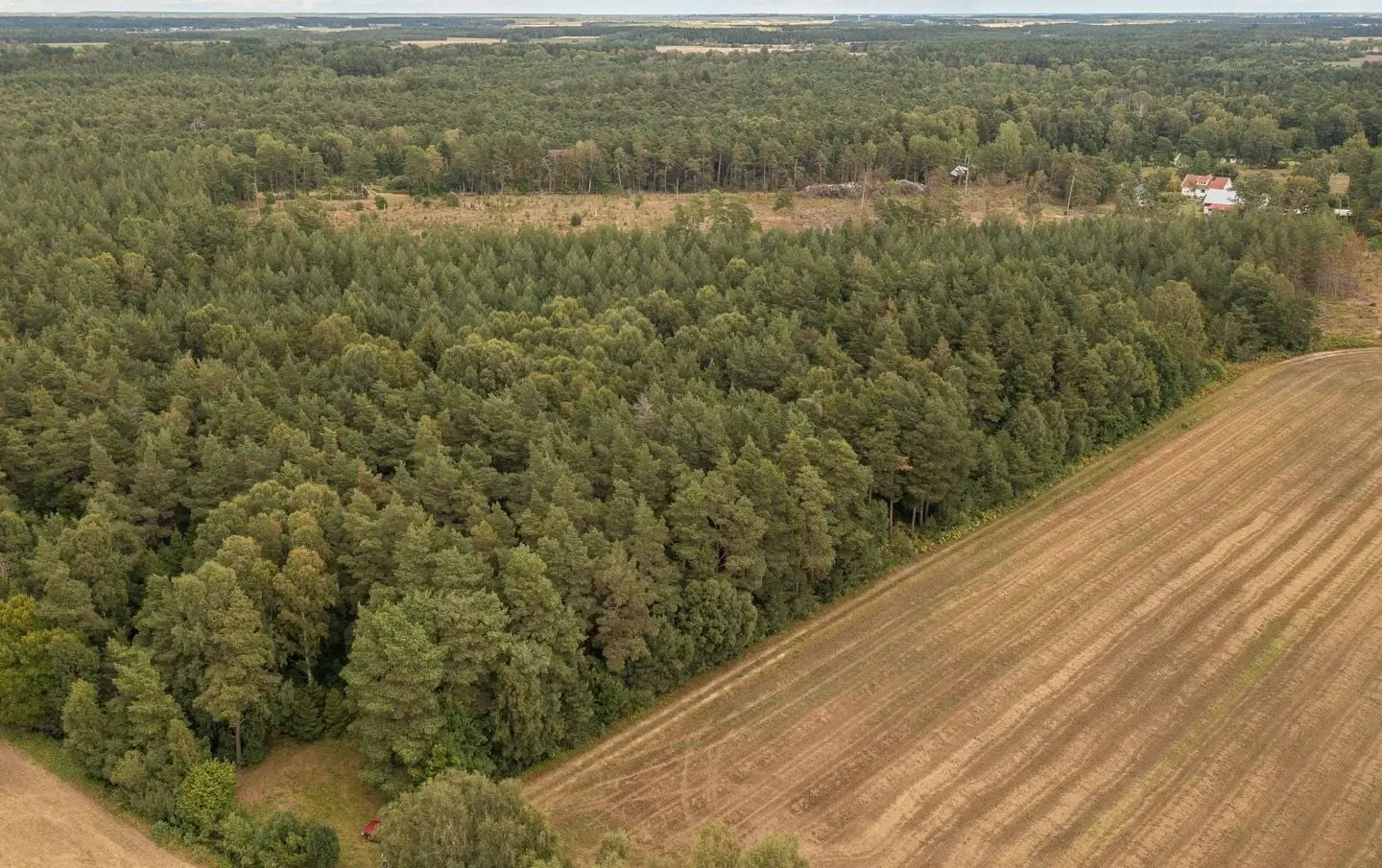 Land / plot, Burs Ganne 1:32, Gotland. Photo 1 of 11