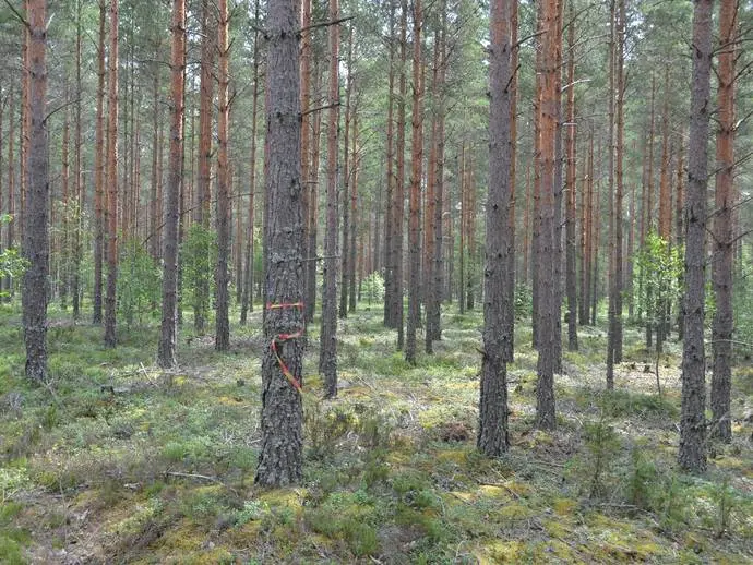 Lägenhet, HULTSFRED HULTSFRED 3:19 m.fl.. Bild 1 av 8