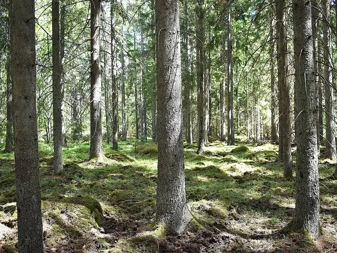 Bild 1 av 13 på Käringehyltan 150