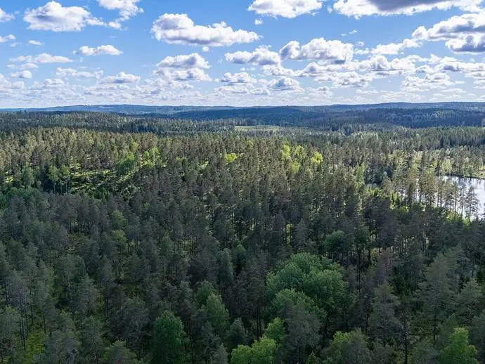 Bild 1 av 9 på Strand