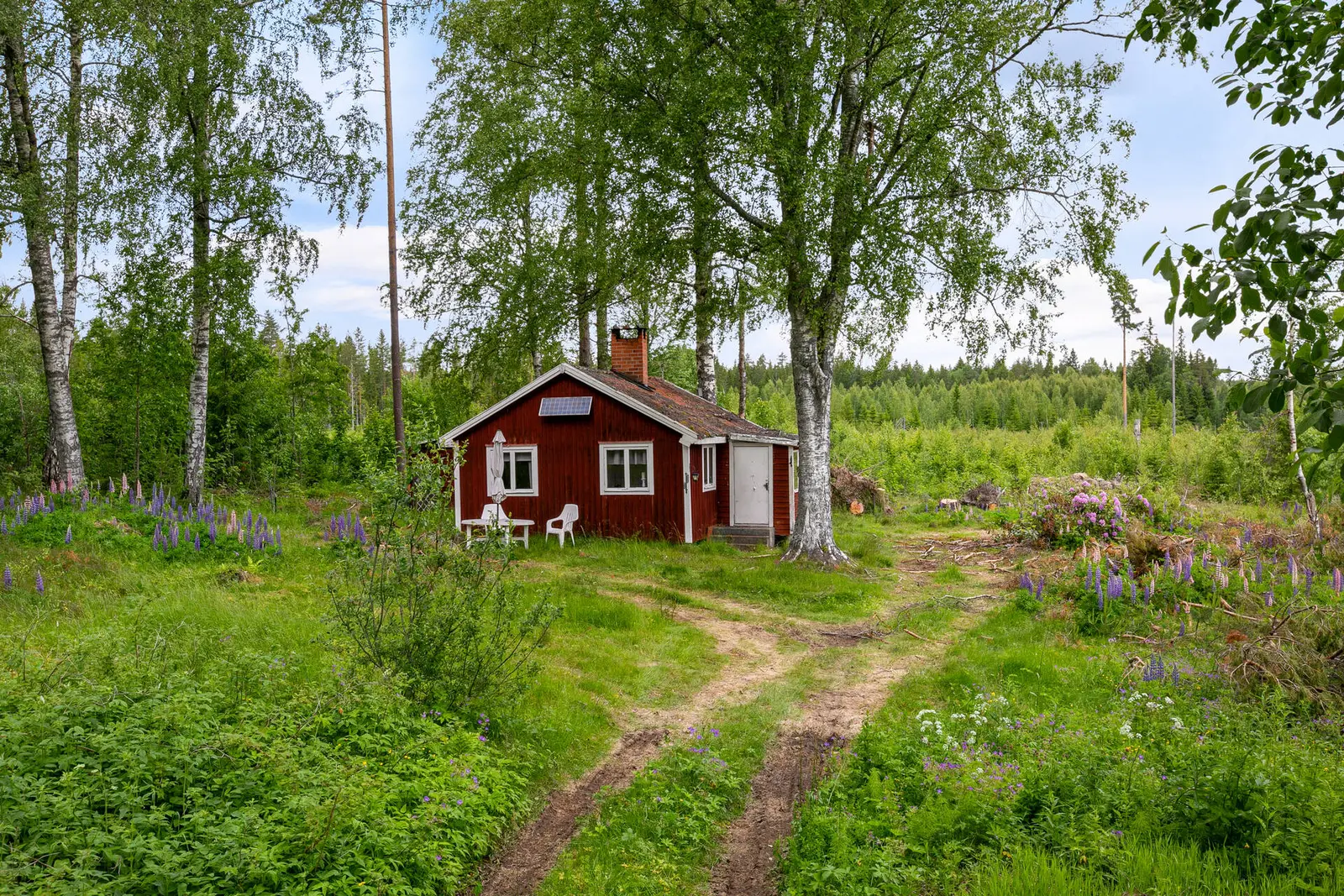 Bild 1 av 22 på Hedsjöns fäbodar 308
