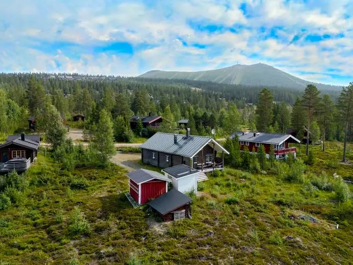 Bild 1 av 20 på Lövhammaren Gullriset 6