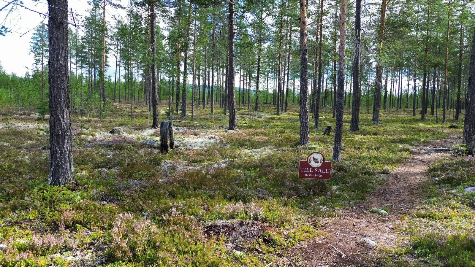 Tomt / mark, Björnvägen 24, Idre. Bild 1 av 3