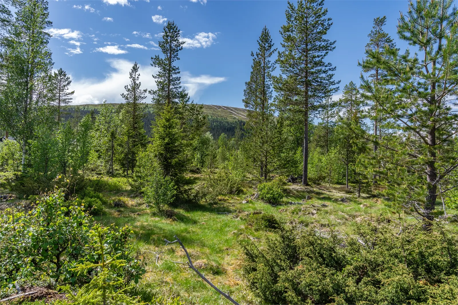 Land / plot, Björnvägen 22, Älvdalen. Photo 1 of 5