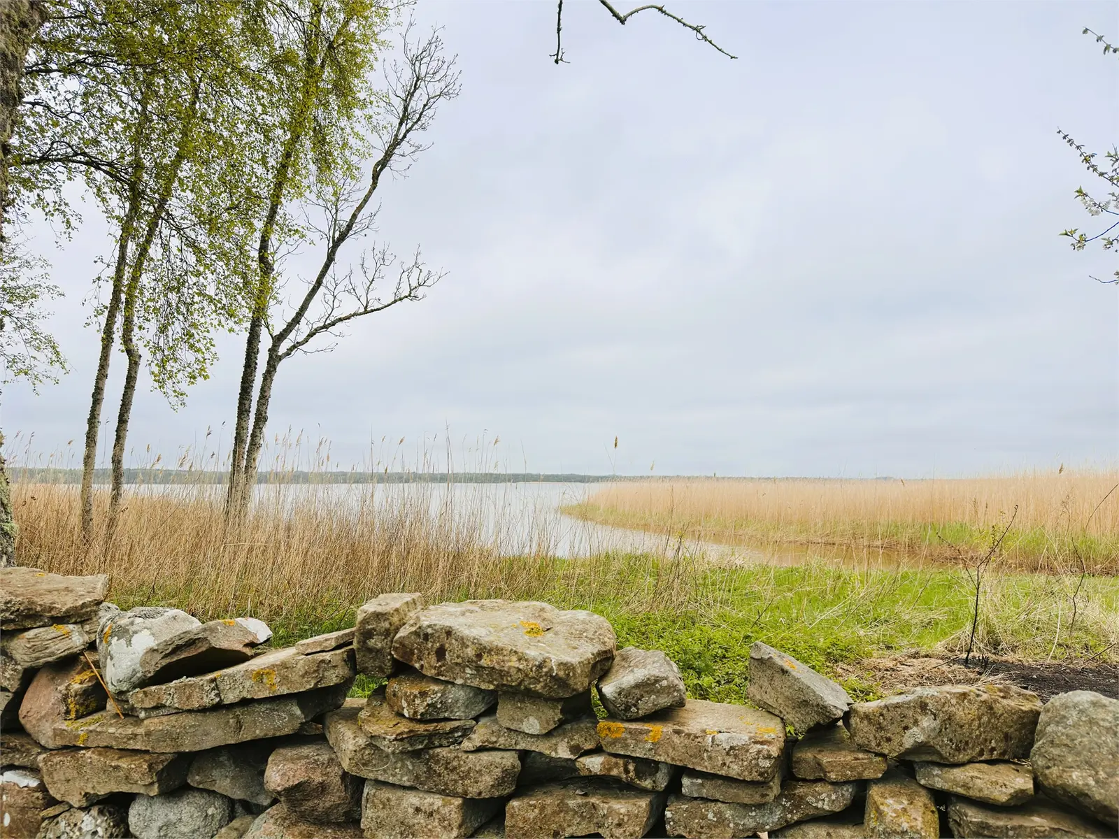 Holiday home, Grötlingbo Kauparve 639, Gotland. Photo 1 of 6