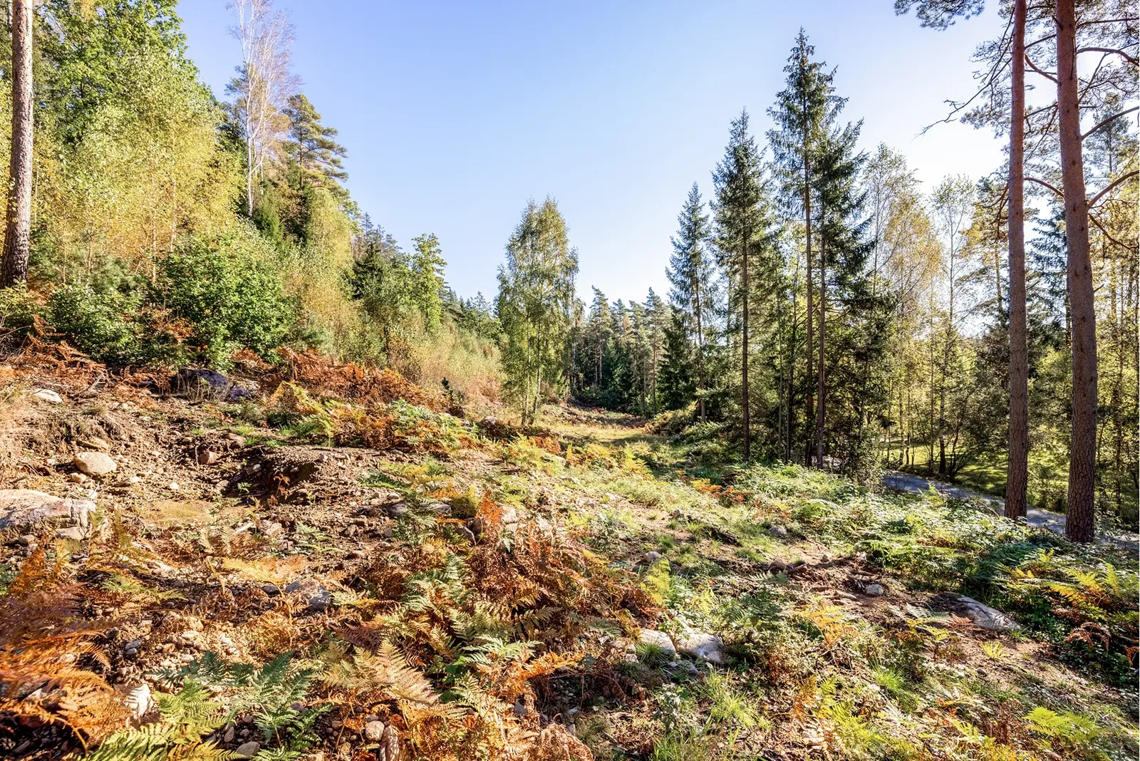 Image 1 of 5 of Furubergsvägen 60