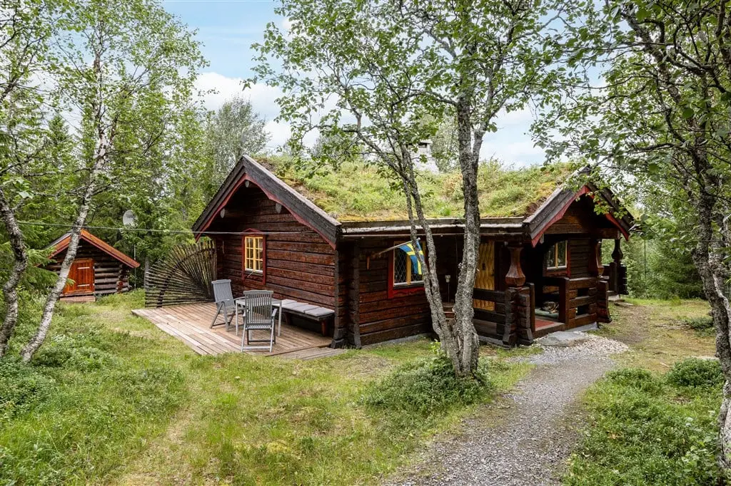 Bild 1 av 27 på Handöl 205