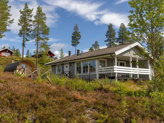Bild 1 av 20 på Lövhammaren Fjällviolen 10