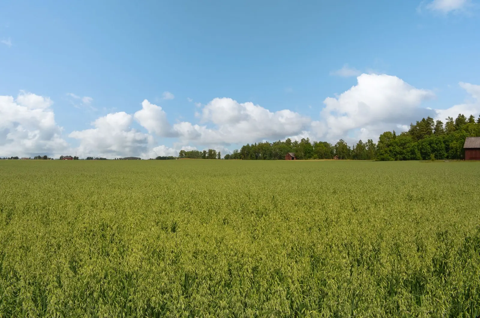 Gård, Saleby Erik-Larsgården 6, Lidköping. Bild 1 av 17