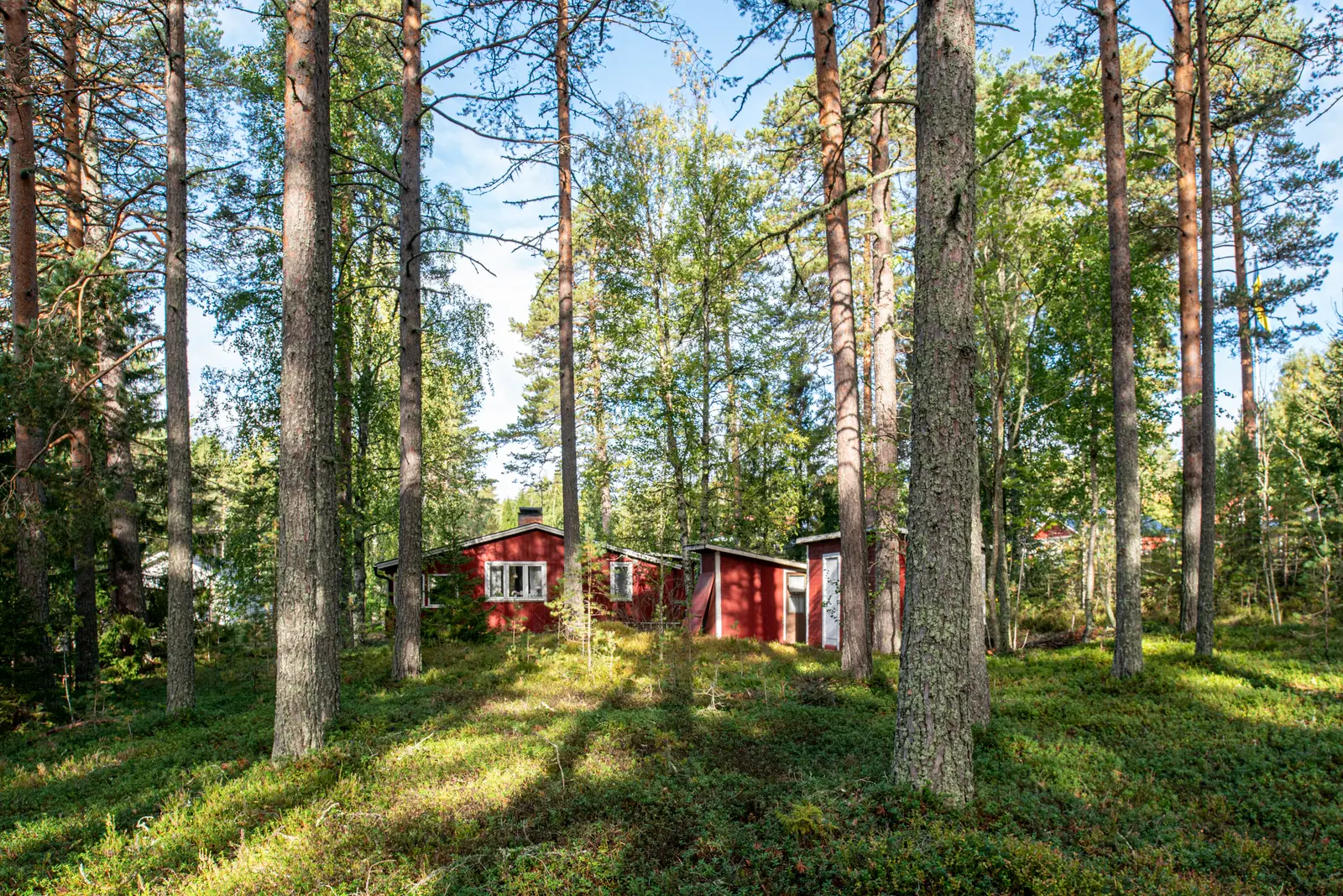 House, Tallmovägen 4, LP: 2026-08-21
                        U: 2026-08-21
                        FP: 2026-08-21. Photo 1 of 6