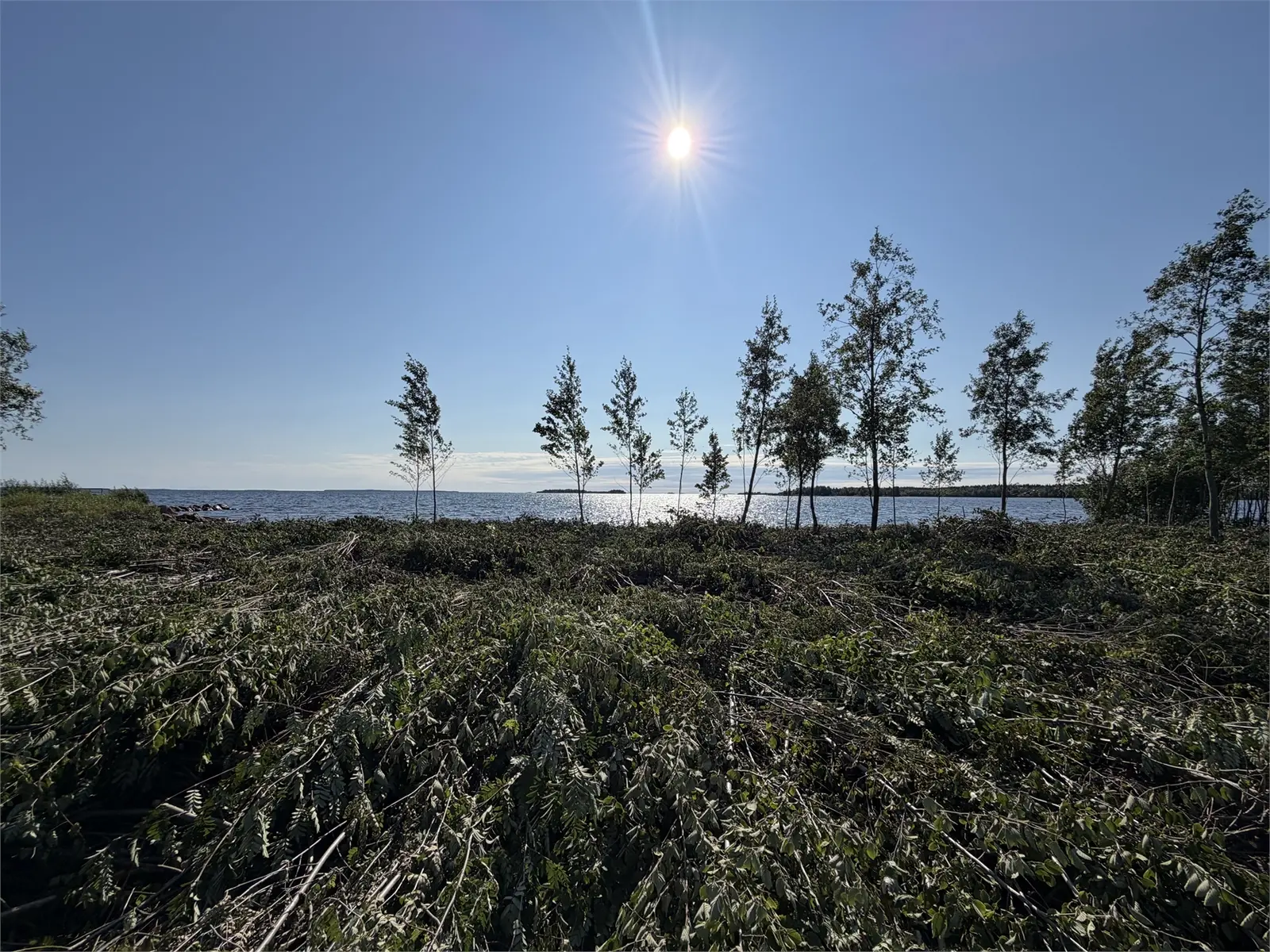 Image 1 of 5 of Salmis Konjusvägen 86