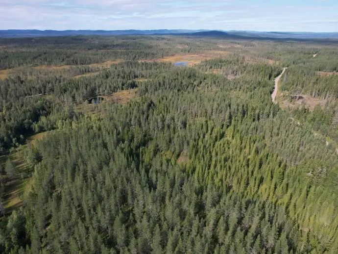 Image 1 of 20 of Skålmo