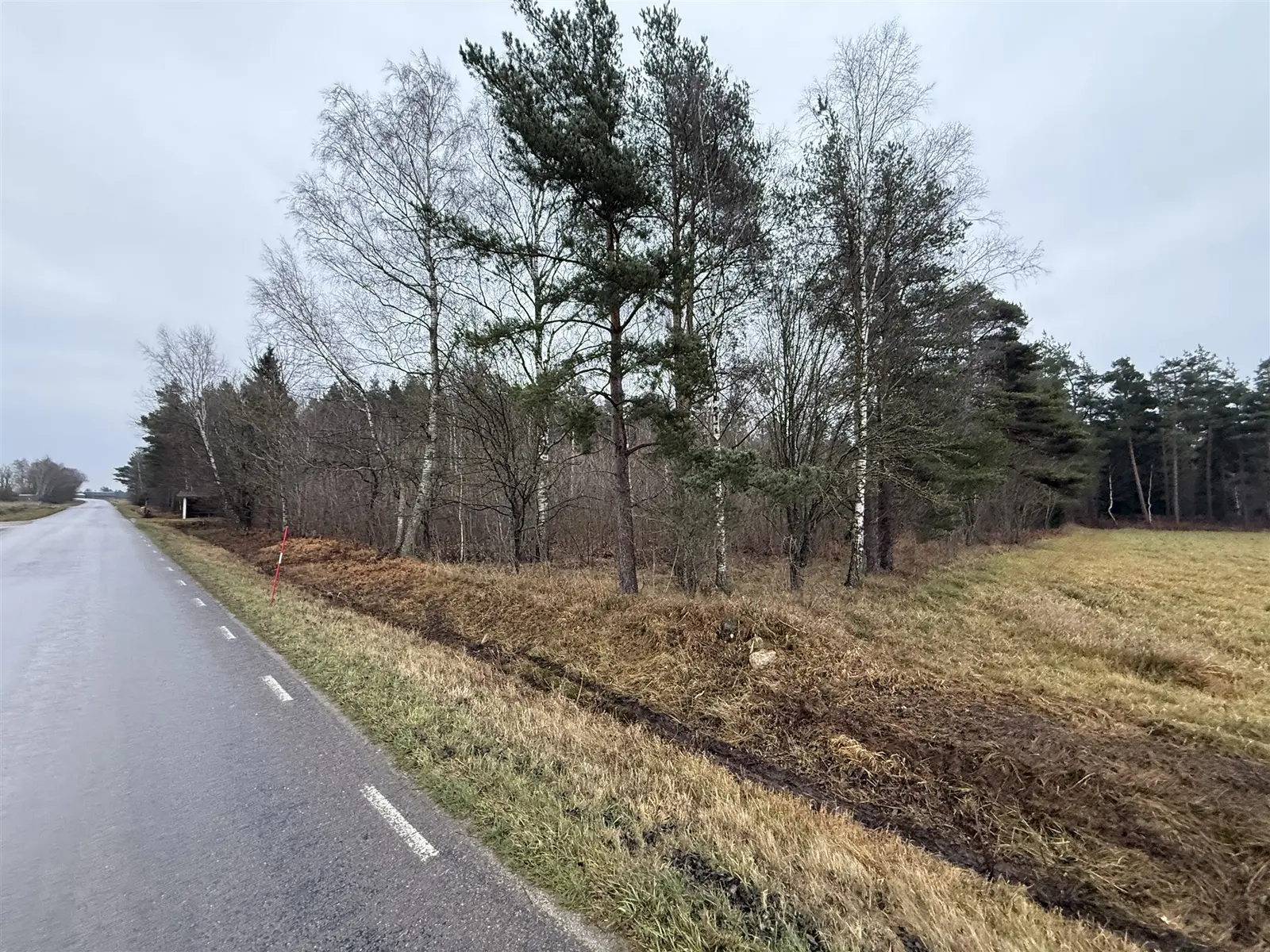 Bild 1 av 6 på Guldrupe Hallbjäns 1:34
