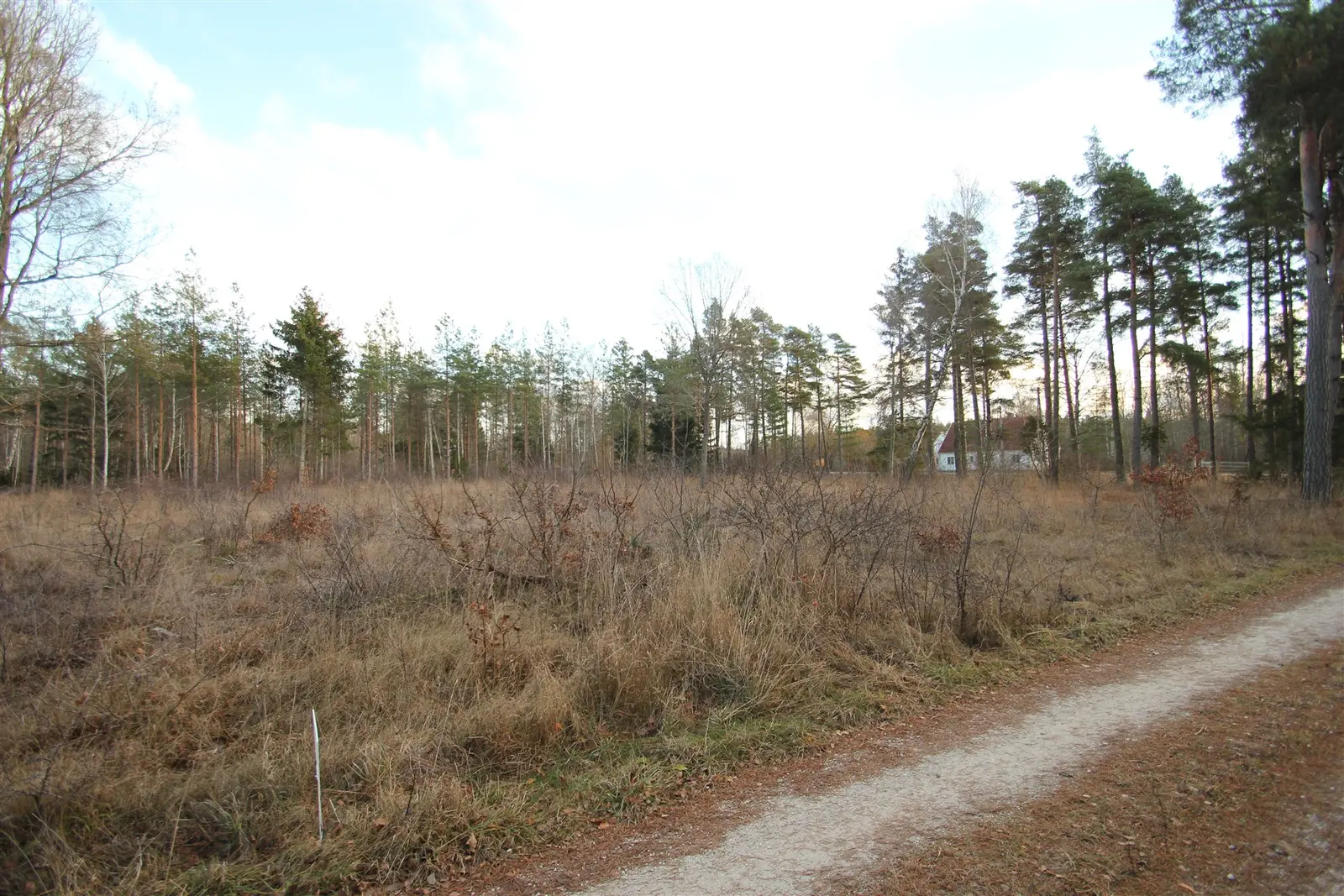 Bild 1 av 7 på Barlingbo Massarve 649 D