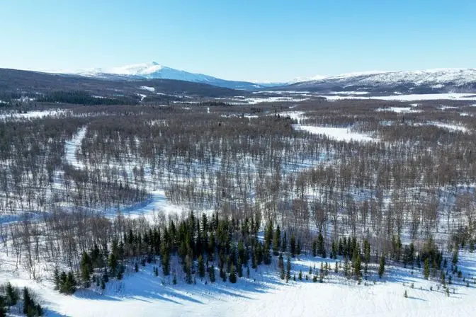 Land / plot, Norra Fjällnäs 1:111, Tärnaby. Photo 1 of 6