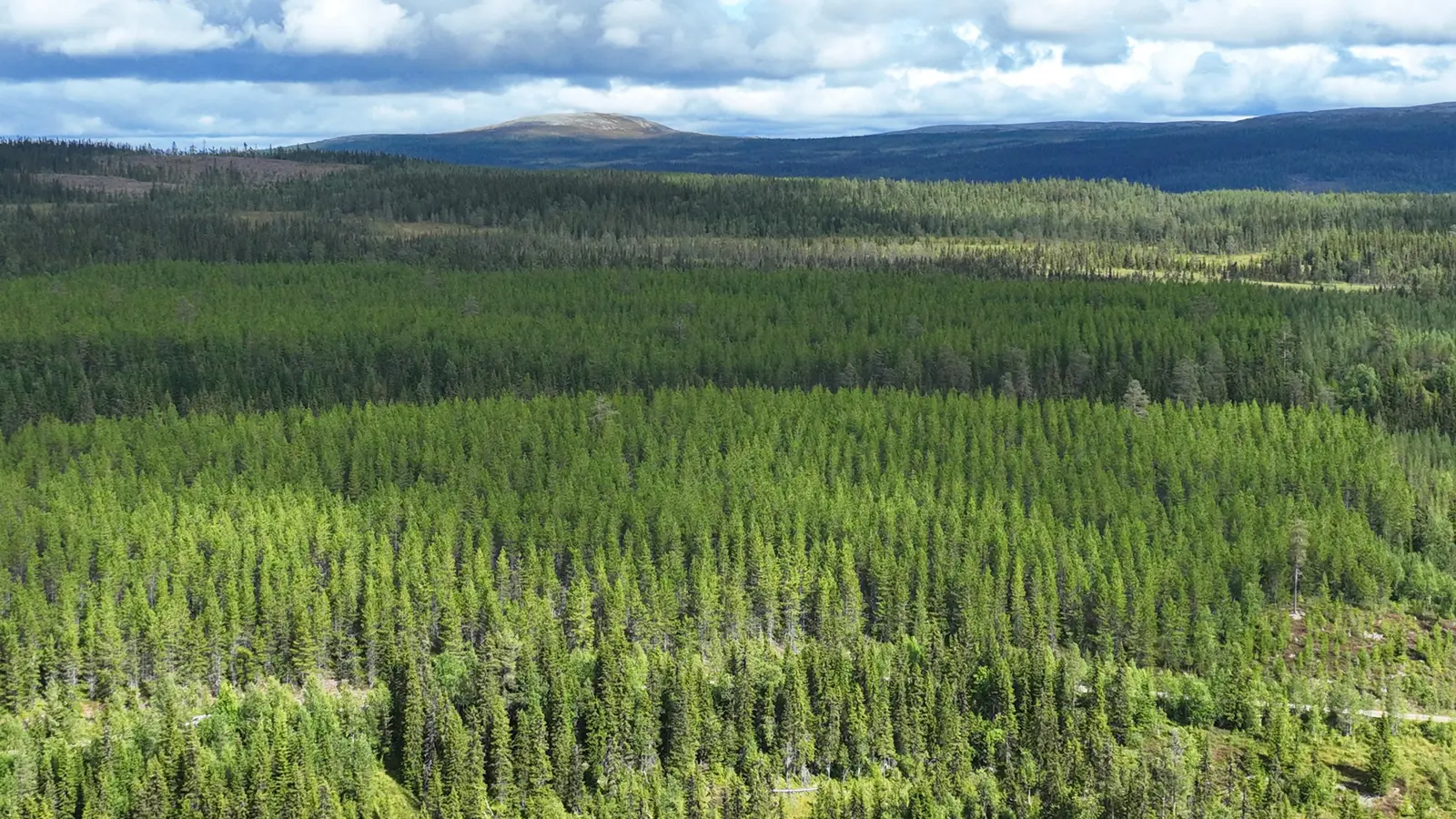 Gård, HÄRJEDALEN VEMDALENS KYRKBY 99:5, Härjedalen. Bild 1 av 16
