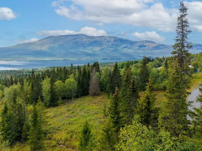 Bild 1 av 15 på Högåsvägen Ottsjö 1:356