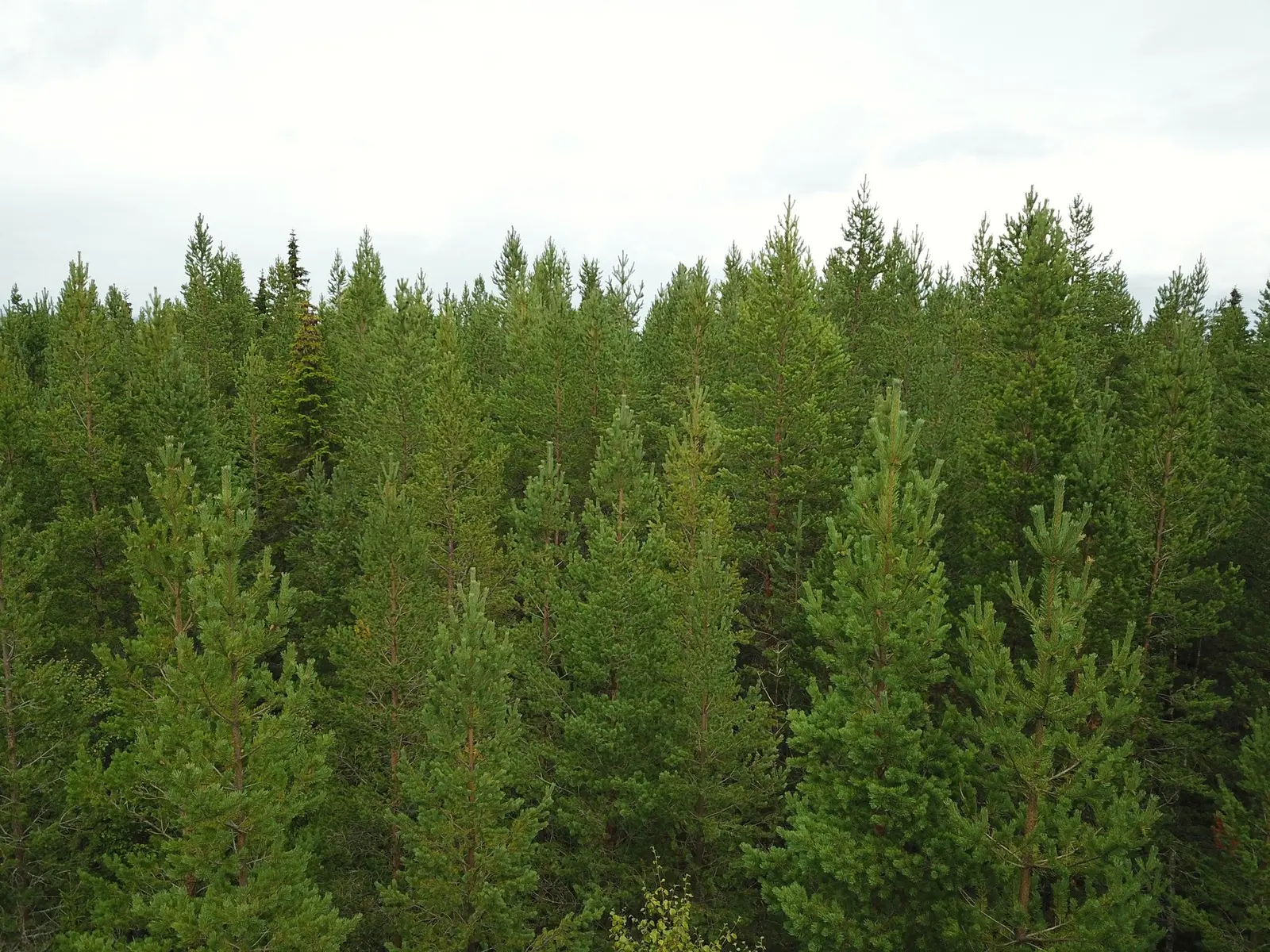 Image 1 of 10 of Österskucku 3:48