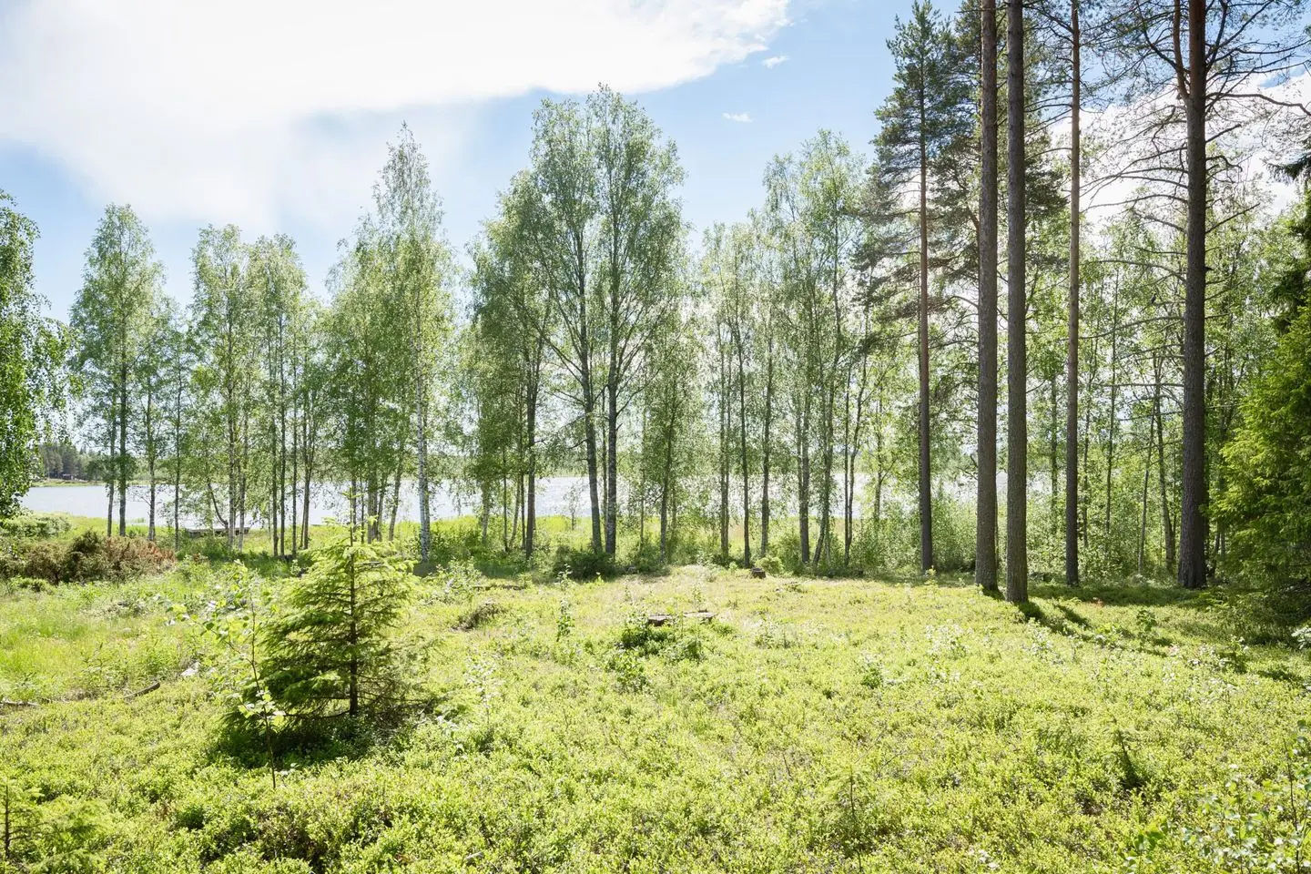 Bild 1 av 7 på Lindbergavägen 49