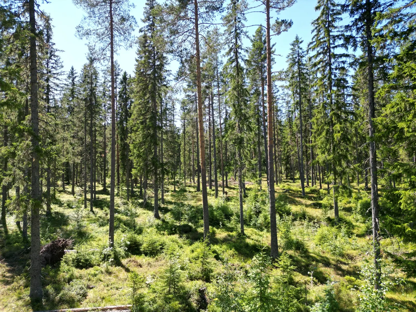 Bild 1 av 15 på NORDANSTIG VÄSTERGRÄNGSJÖ 24:1