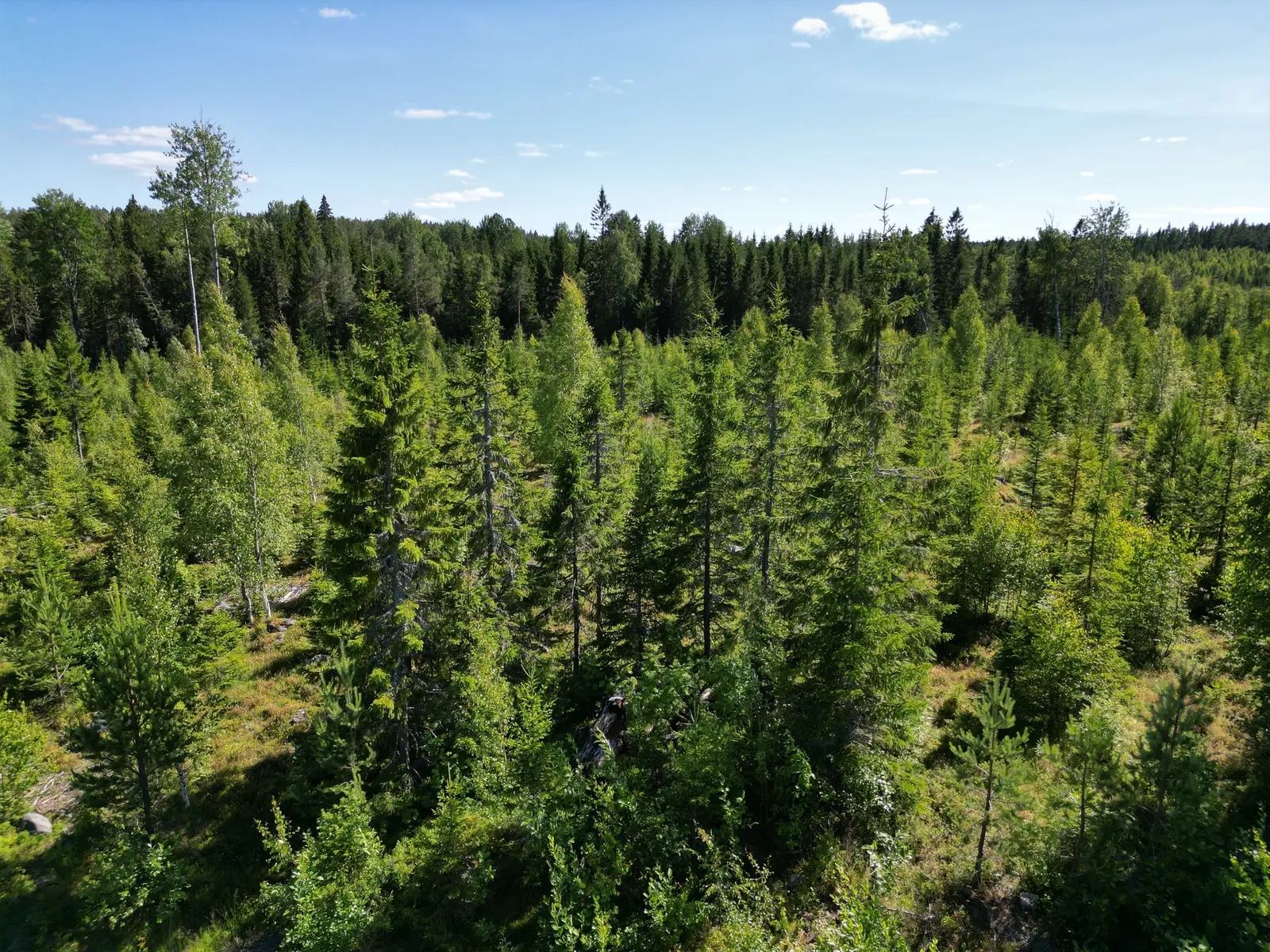 Bild 1 av 7 på NORDANSTIG VÄSTERGRÄNGSJÖ 3:6