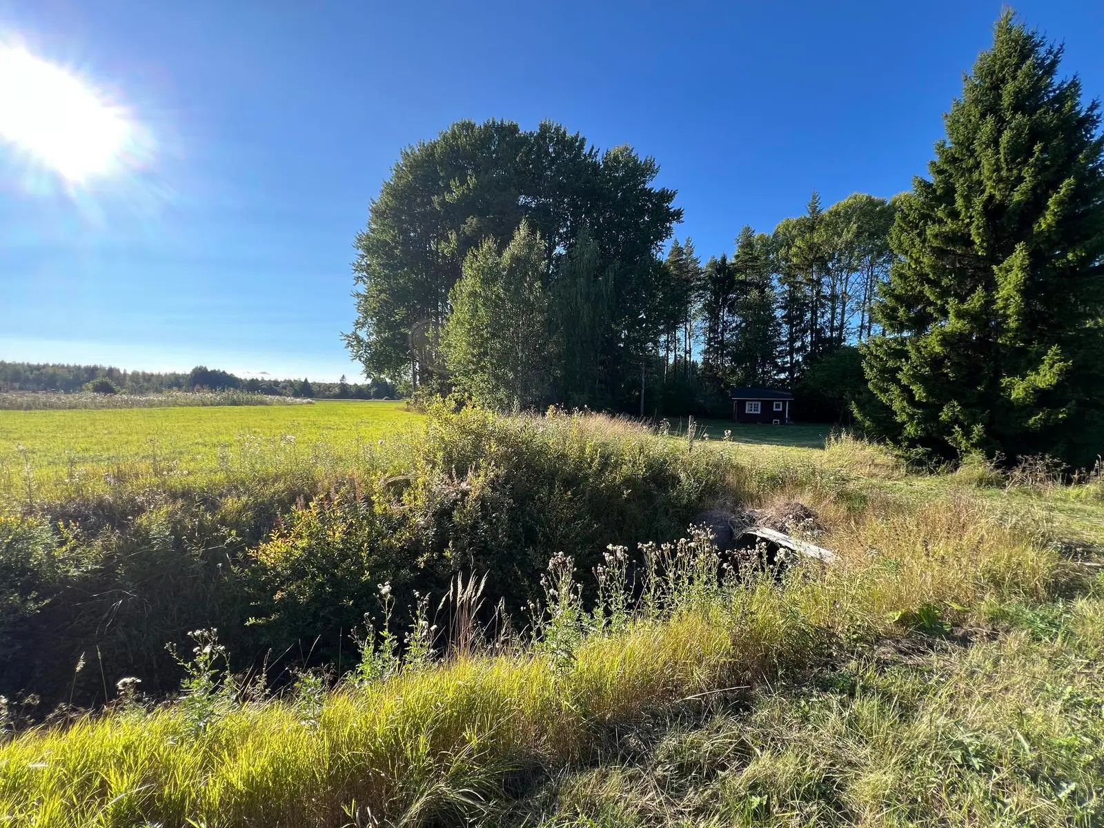 Bild 1 av 14 på DYMMELSBO 1:13