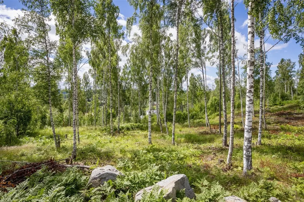 Land / plot, Liljekonvaljbacken 3, Västernorrland. Photo 1 of 10