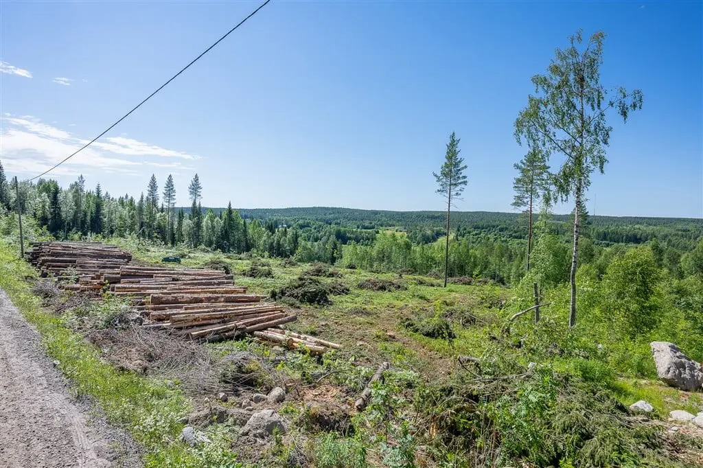 Bild 1 av 6 på Överboda tomt