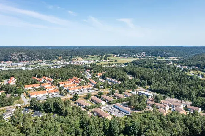 Bild 1 av 5 på Furumossen
