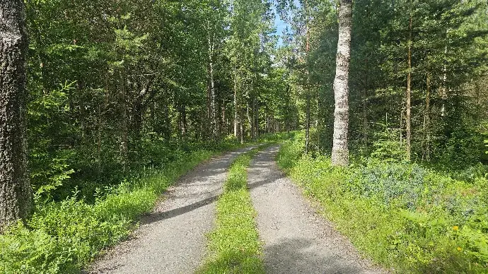 Image 1 of 5 of Svante Påhls väg XX