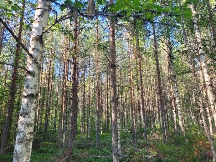 Image 1 of 1 of Vallerås 12:13