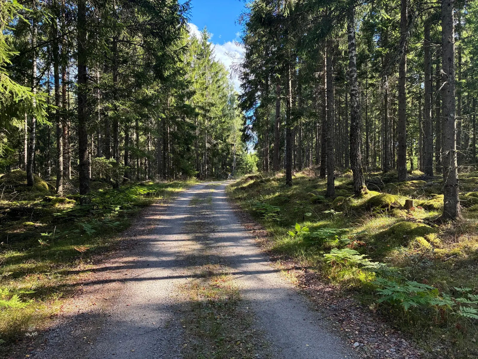 Image 1 of 27 of Älmhultsvägen 13