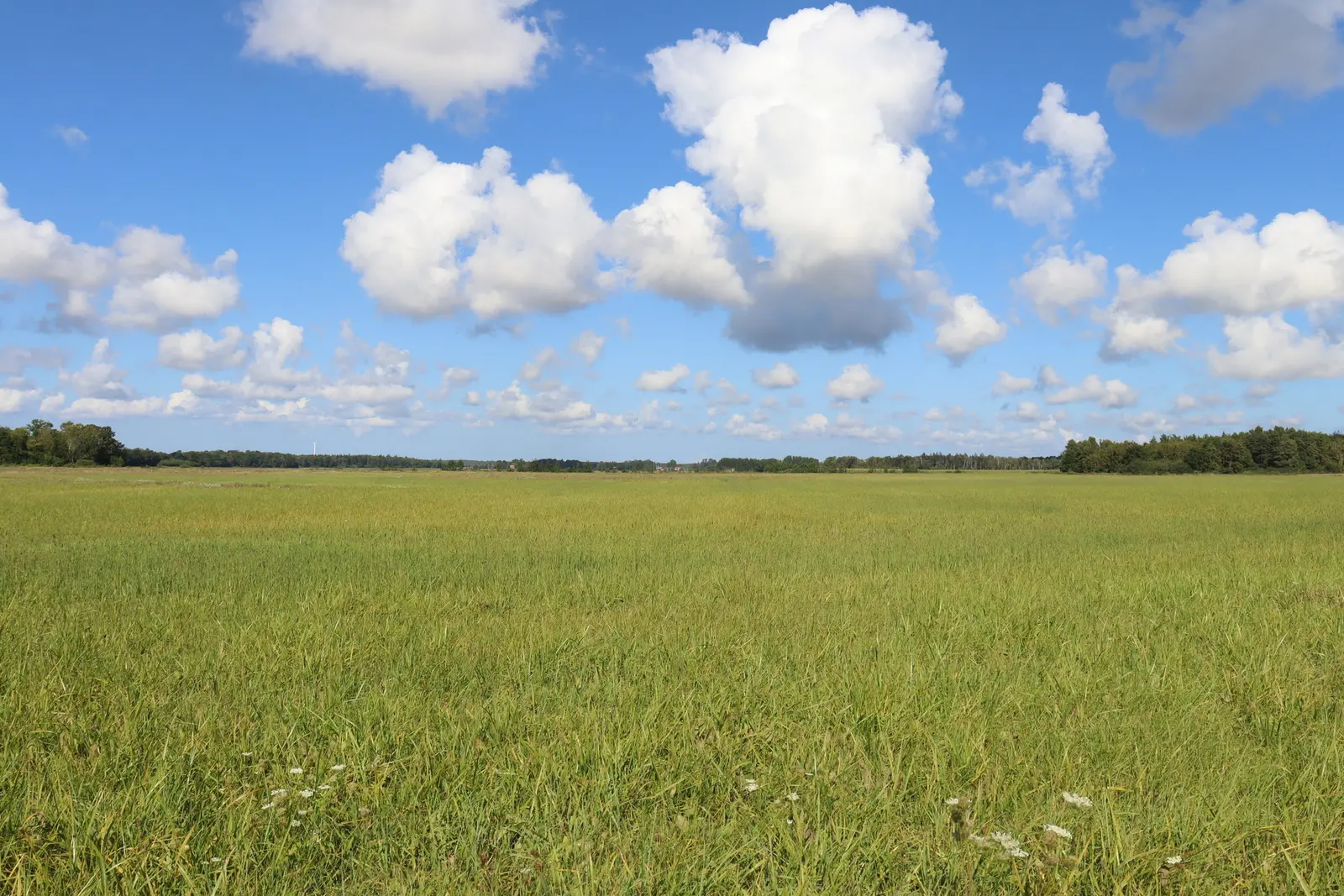 Gård, Bara Hommunds 111, Gotland. Bild 1 av 20
