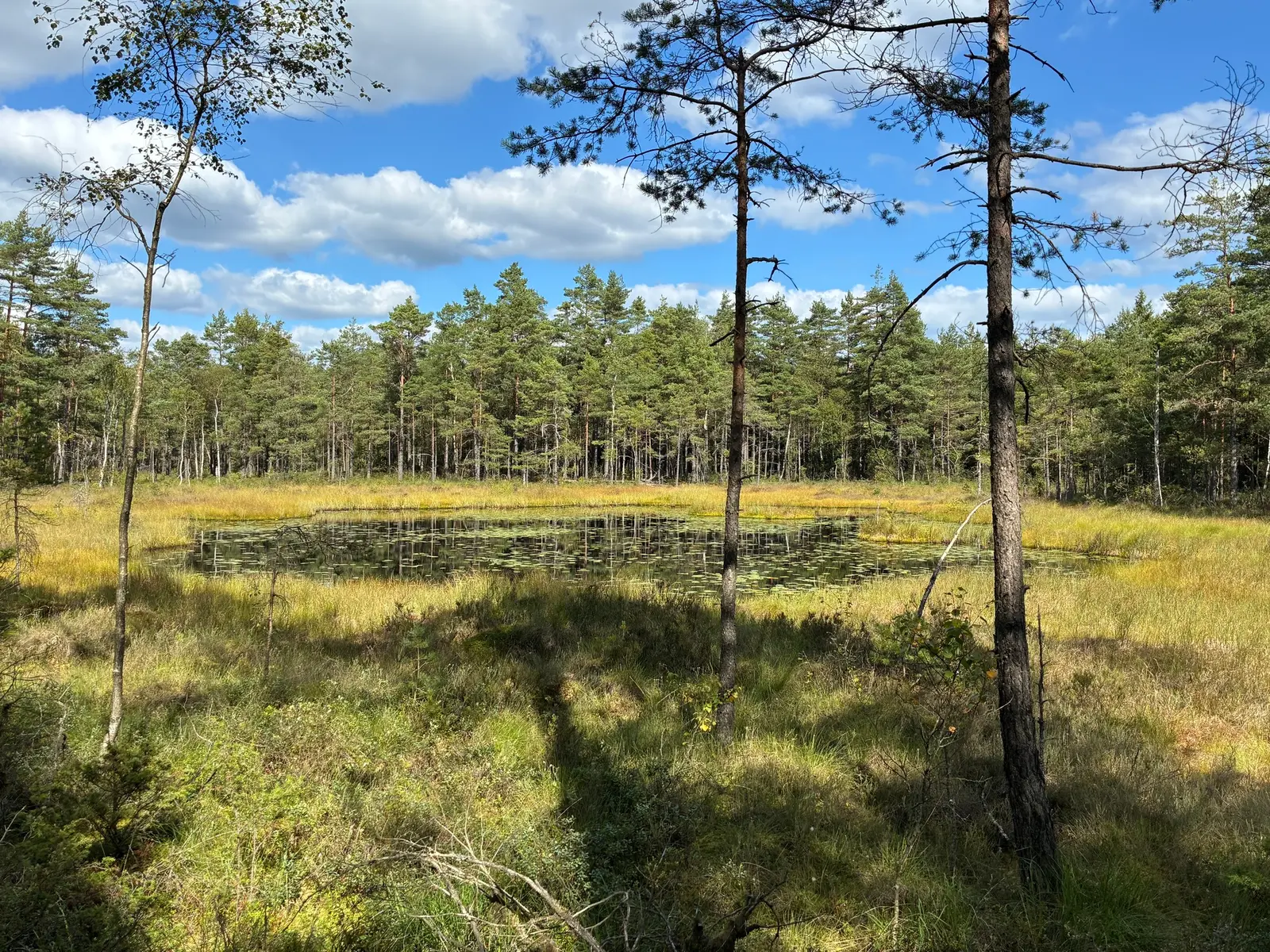 Gård, Lerum Ytterstad 15:1, skifte 2 och 3, Lerum. Bild 1 av 15