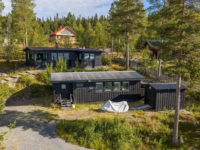 Image 1 of 20 of Lövhammaren Rödbläran 13