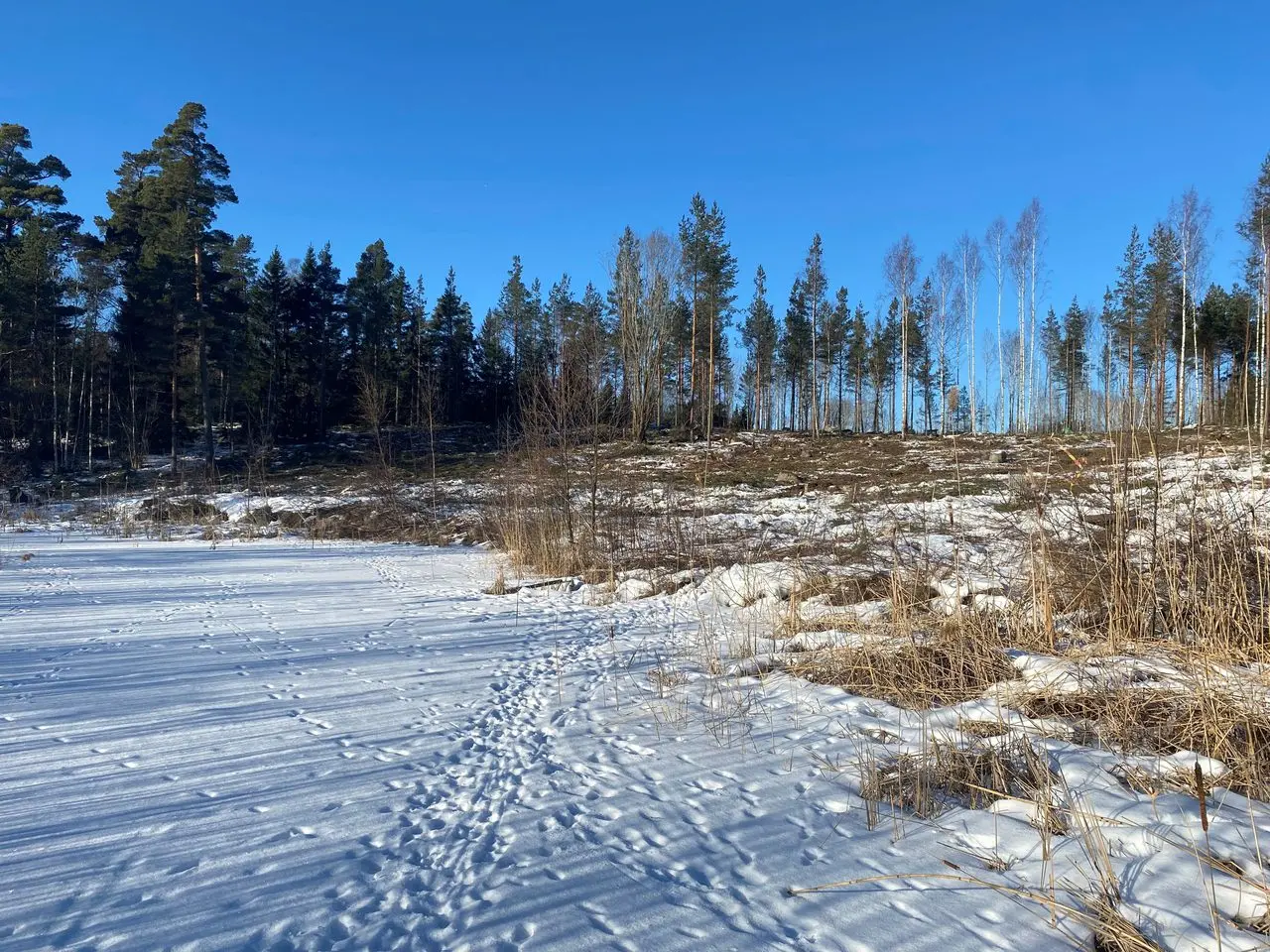 Bild 1 av 21 på Eknö Backe 8