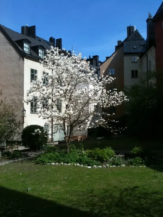 Other, Svartmangatan 9, Stockholm. Photo 1 of 20
