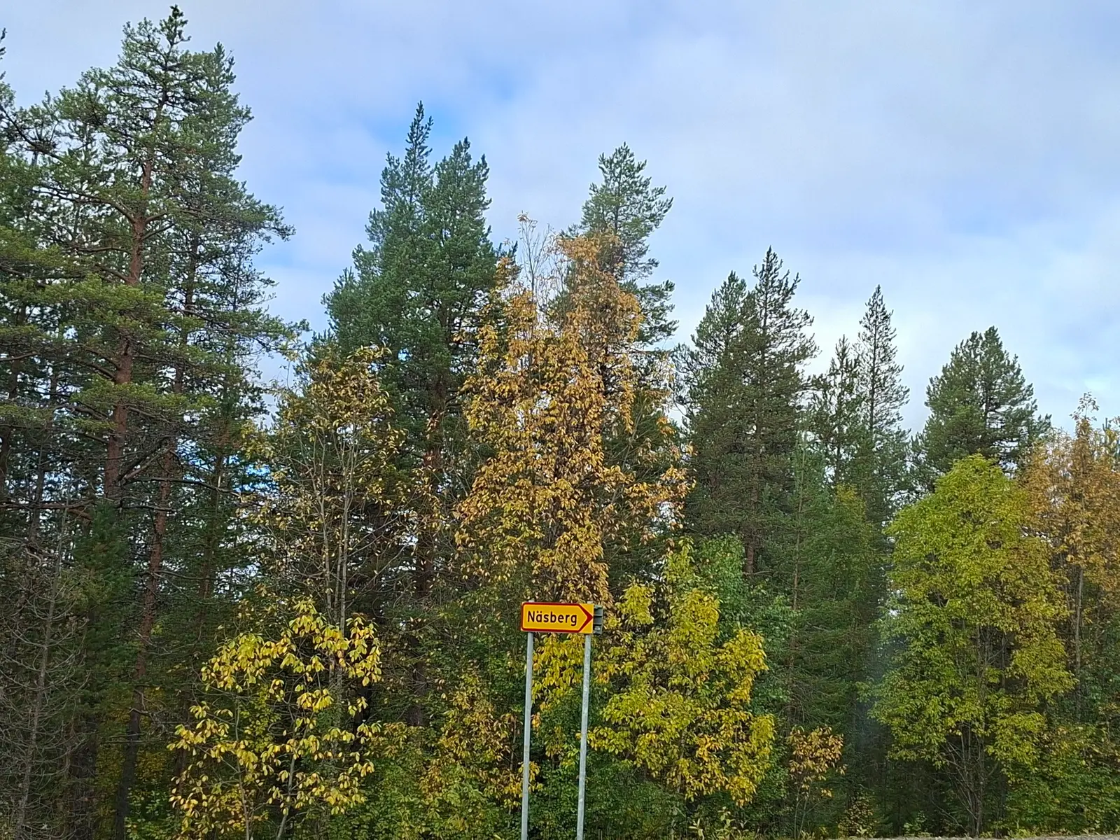 Farm, JOKKMOKK NÄSBERG 1:3, Jokkmokk. Photo 1 of 19