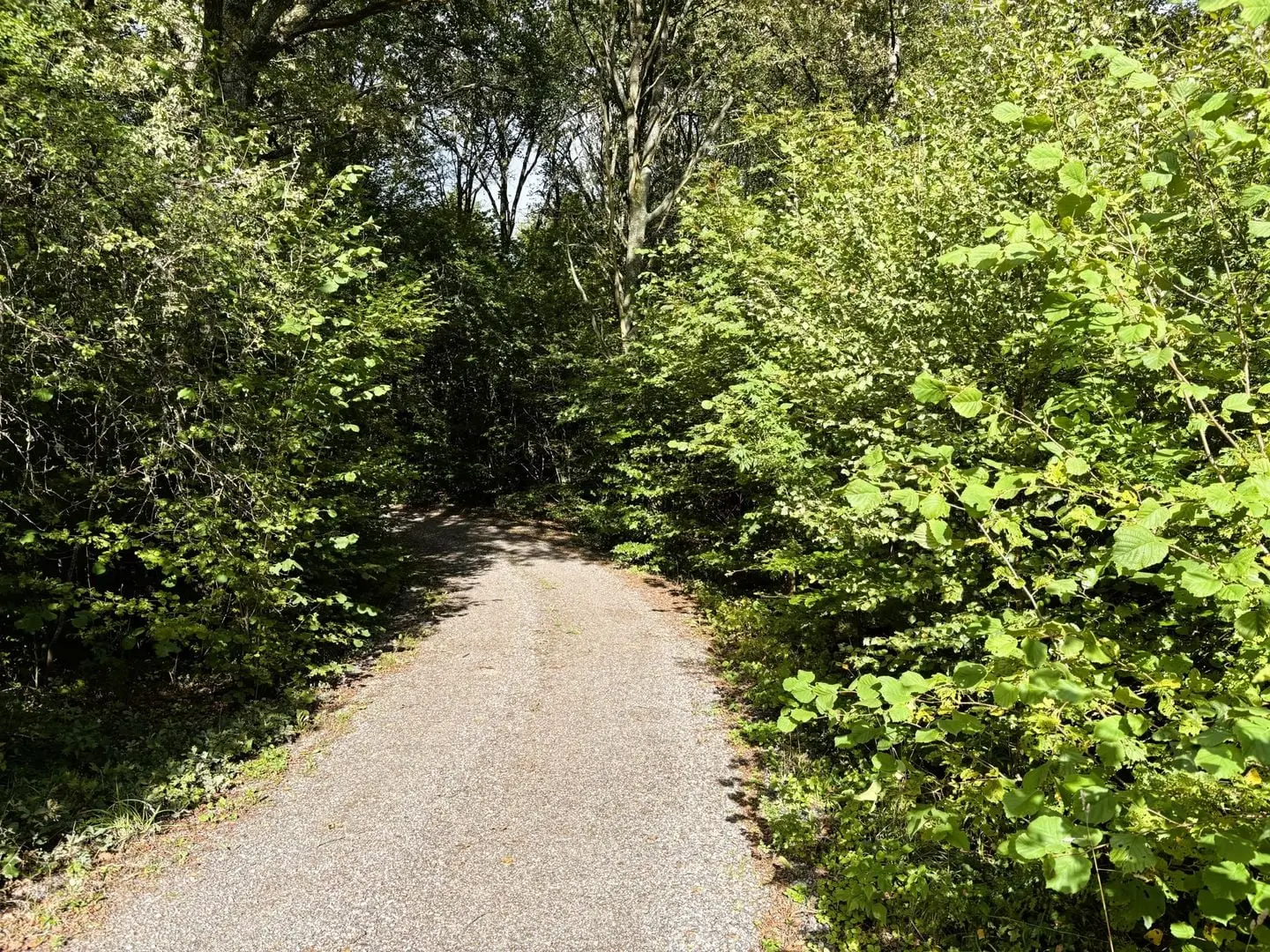 Land / plot, Södra Rörum 4296, Hörby. Photo 1 of 3