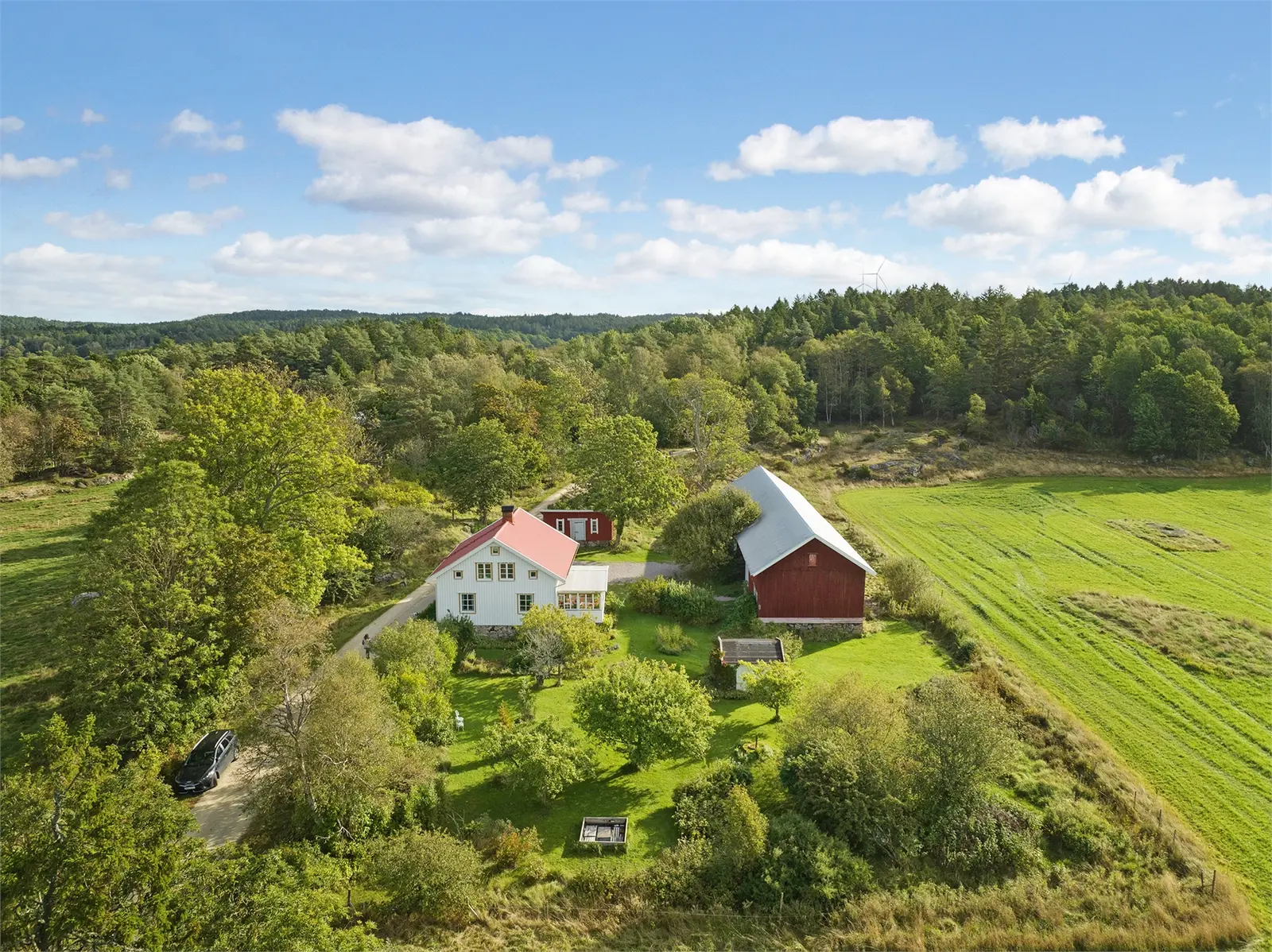 Bild 1 av 24 på Mossen 616